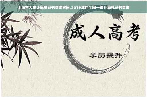 上海市大专计算机证书查询官网,2019年的全国一级计算机证书查询