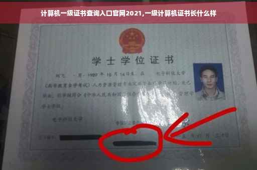 计算机一级证书查询入口官网2021,一级计算机证书长什么样