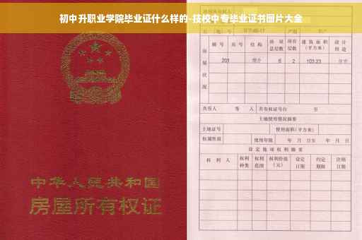初中升职业学院毕业证什么样的-技校中专毕业证书图片大全