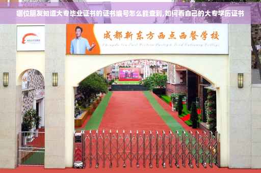 哪位朋友知道大专毕业证书的证书编号怎么能查到,如何看自己的大专学历证书 哪位朋友知道大专毕业证书的证书编号怎么能查到,如何看自己的大专学历证书