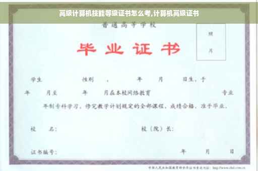 高级计算机技能等级证书怎么考,计算机高级证书