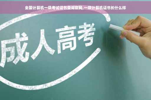 全国计算机一级考试证书查询官网,一级计算机证书长什么样