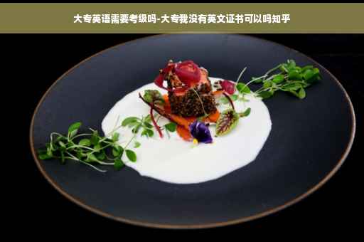 大专英语需要考级吗-大专我没有英文证书可以吗知乎