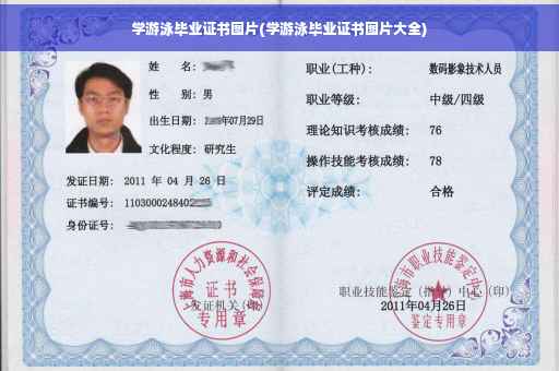学游泳毕业证书图片(学游泳毕业证书图片大全)