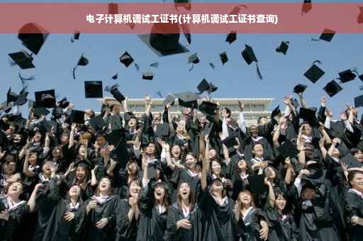 电子计算机调试工证书(计算机调试工证书查询)