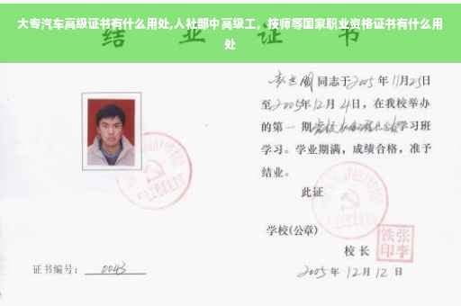 大专汽车高级证书有什么用处,人社部中高级工，技师等国家职业资格证书有什么用处