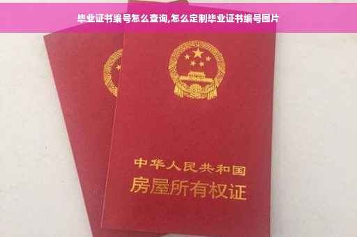 毕业证书编号怎么查询,怎么定制毕业证书编号图片
