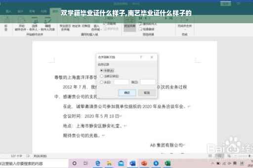 双学籍毕业证什么样子,南艺毕业证什么样子的