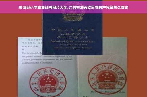 东海县小学毕业证书图片大全,江苏东海石梁河农村产权证怎么查询 东海县小学毕业证书图片大全,江苏东海石梁河农村产权证怎么查询