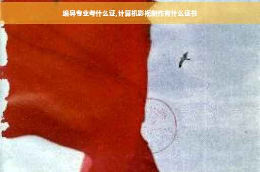 编导专业考什么证,计算机影视制作有什么证书