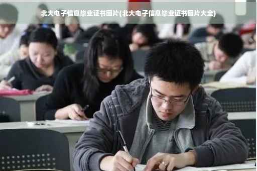 北大电子信息毕业证书图片(北大电子信息毕业证书图片大全)