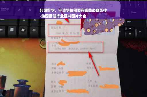 韩国留学，申请学校需要有哪些必备条件
-韩国插班毕业证书图片大全