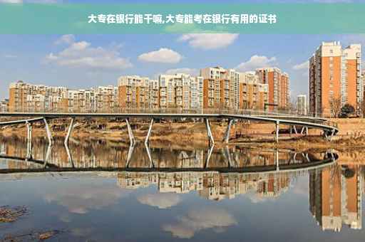 大专在银行能干嘛,大专能考在银行有用的证书