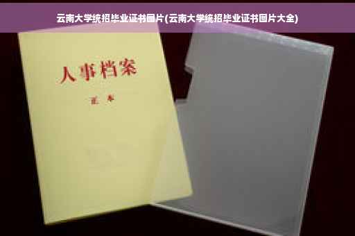 云南大学统招毕业证书图片(云南大学统招毕业证书图片大全)