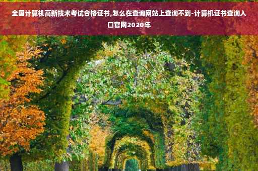 全国计算机高新技术考试合格证书,怎么在查询网站上查询不到-计算机证书查询入口官网2020年