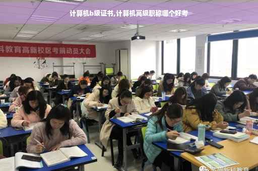 计算机b级证书,计算机高级职称哪个好考
