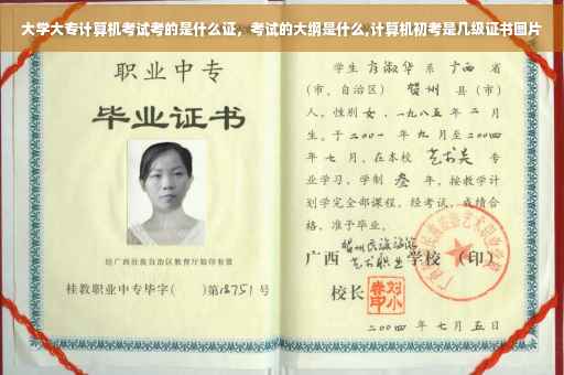 大学大专计算机考试考的是什么证，考试的大纲是什么,计算机初考是几级证书图片