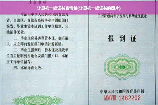 计算机一级证书表情包(计算机一级证书的图片)