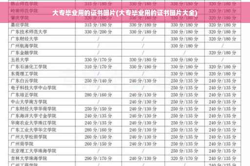 大专毕业用的证书图片(大专毕业用的证书图片大全)