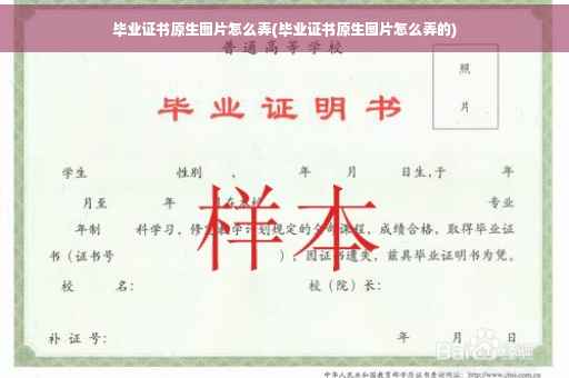 毕业证书原生图片怎么弄(毕业证书原生图片怎么弄的)