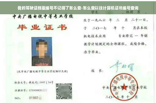 我的驾驶证档案编号不记得了怎么查-怎么查以往计算机证书编号查询