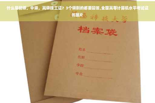 什么是初级，中级，高级技工证？3个级别的都要回答,全国高等计算机水平考试证书图片