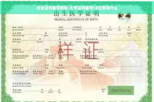 毕业证书编号规则-大专证书编号18位数是什么