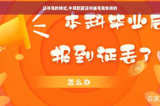 证书号的格式,中级职称证书编号是怎样的