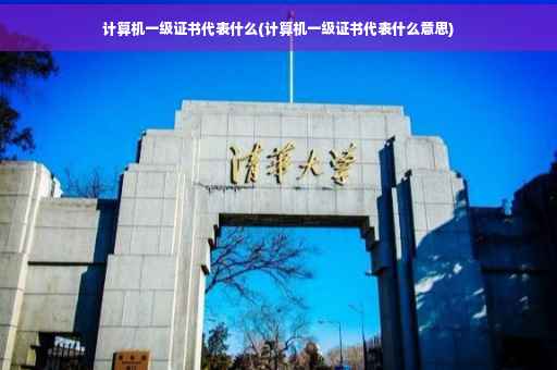 计算机一级证书代表什么(计算机一级证书代表什么意思) 计算机一级证书代表什么(计算机一级证书代表什么意思)