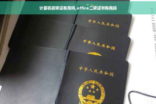 计算机初级证有用吗,office二级证书有用吗