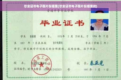毕业证书电子图片在哪里(毕业证书电子图片在哪里找)