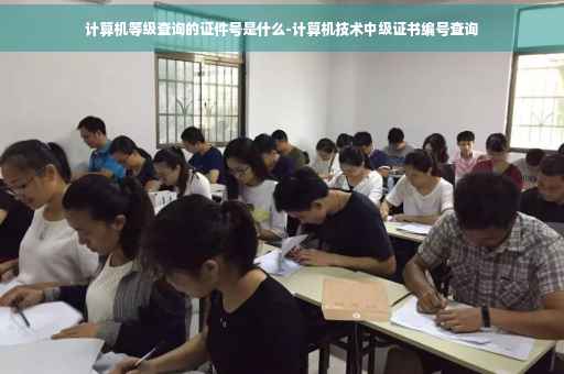 计算机等级查询的证件号是什么-计算机技术中级证书编号查询