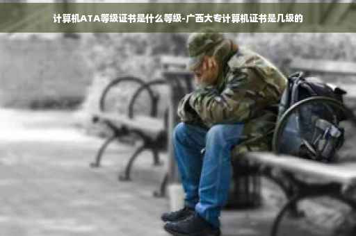 计算机ATA等级证书是什么等级-广西大专计算机证书是几级的