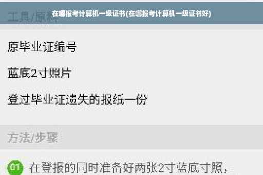 在哪报考计算机一级证书(在哪报考计算机一级证书好)