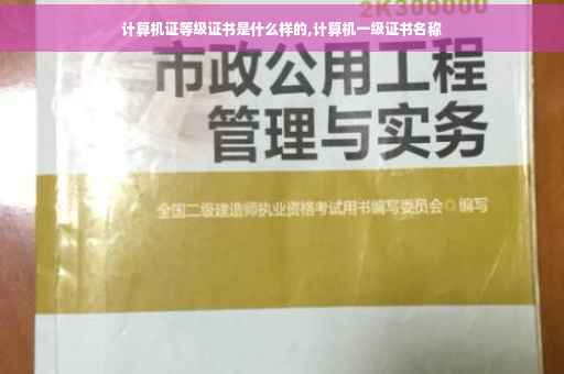 计算机证等级证书是什么样的,计算机一级证书名称