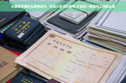 计算机方面什么资格证书，社会人员可以报考-计算机一级证书工种怎么填