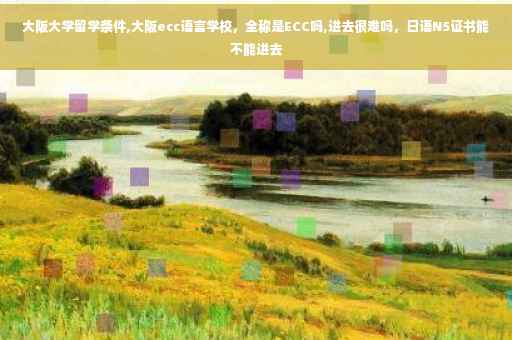 大阪大学留学条件,大阪ecc语言学校，全称是ECC吗,进去很难吗，日语N5证书能不能进去