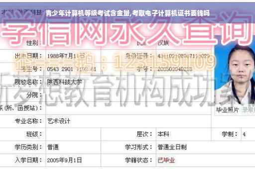 青少年计算机等级考试含金量,考取电子计算机证书要钱吗