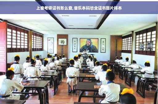 上音考级证书怎么查,音乐本科毕业证书图片样本
