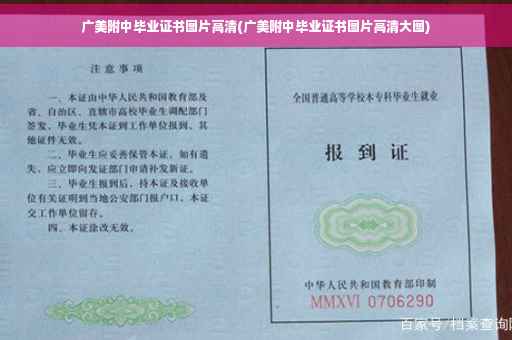 广美附中毕业证书图片高清(广美附中毕业证书图片高清大图)