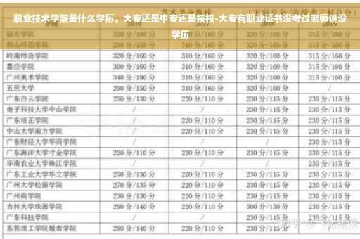 职业技术学院是什么学历。大专还是中专还是技校-大专有职业证书没考过老师说没学历