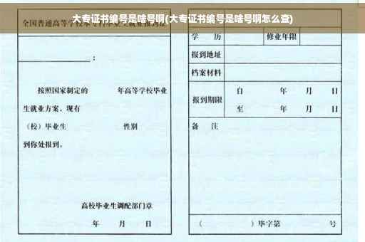 大专证书编号是啥号啊(大专证书编号是啥号啊怎么查)