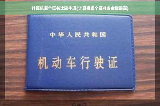 计算机哪个证书比较牛逼(计算机哪个证书含金量最高)