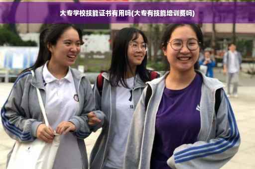 大专学校技能证书有用吗(大专有技能培训费吗)