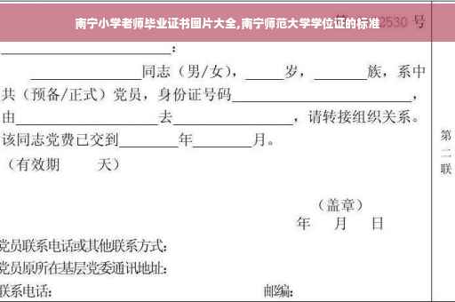 南宁小学老师毕业证书图片大全,南宁师范大学学位证的标准
