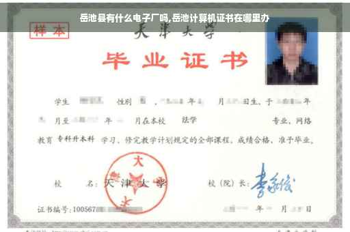 岳池县有什么电子厂吗,岳池计算机证书在哪里办