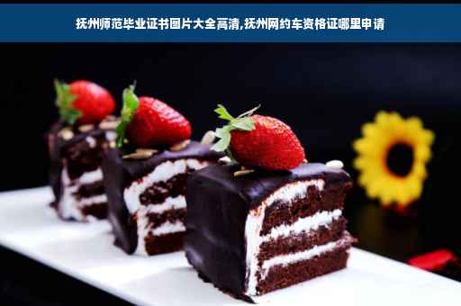 抚州师范毕业证书图片大全高清,抚州网约车资格证哪里申请