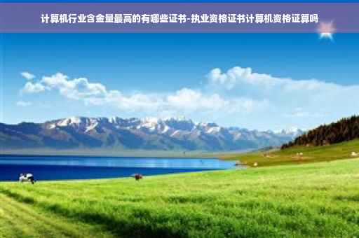 计算机行业含金量最高的有哪些证书-执业资格证书计算机资格证算吗