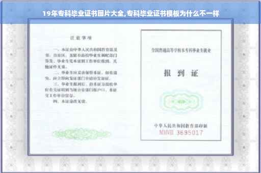 19年专科毕业证书图片大全,专科毕业证书模板为什么不一样