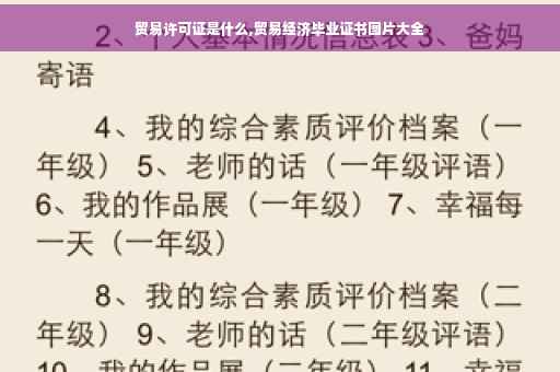 贸易许可证是什么,贸易经济毕业证书图片大全